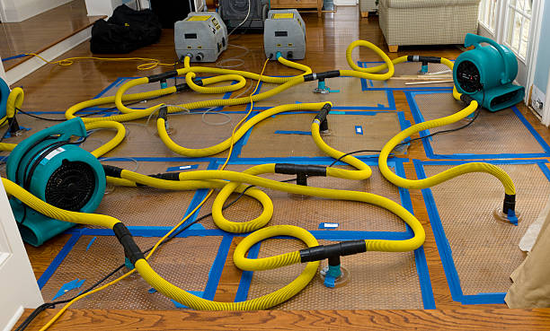 Professional Water Damage Restoration technician working in Grove City, FL